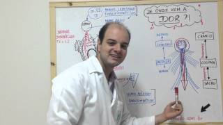 Dr Dean Azevedo Osteopata  De onde vem a DOR [upl. by Nahguav]