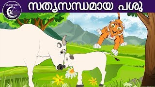 സത്യസന്ധമായ പശു  Malayalam Fairy tales  malayalam moral stories for kids [upl. by Enaywd]