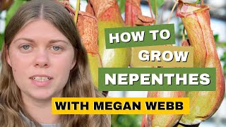 How To Grow amp Care For Nepenthes Tropical Pitcher Plant [upl. by Nosyerg821]