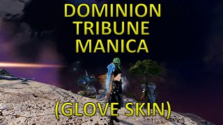 Guild Wars 2  Dominion Tribune Manica Glove Skin [upl. by Keily]