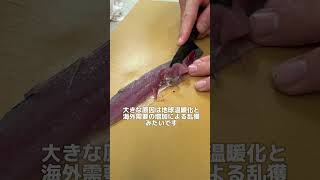 秋刀魚の握りが旨すぎる… 魚 寿司 sushi 魚料理 料理 湘南 [upl. by Leugimesoj182]