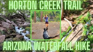 Horton Creek Trail  Beautiful Arizona Backpacking Trip [upl. by Nevs]