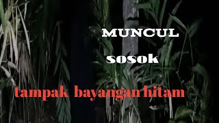 🔴sosok mahluk jelmaan‼️ [upl. by Atinna]