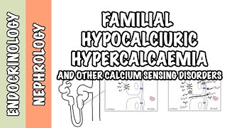 Familial Hypocalciuric Hypercalcemia  other calcium sensing disorders  pathophysiology treatment [upl. by Nebra]