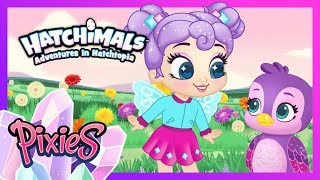 ALL THE EPISODES MEGA COMPILATION  Adventures in Hatchtopia PIXIES  Hatchimals [upl. by Kantos]