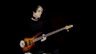 quotIts Alrightquot  Bass Cover  Paul Stanley [upl. by Saito574]