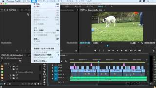 Premiere Pro 基本：ヒストリーパネルを使って「元に戻す」「やり直す」を使う｜lyndacom 日本版 [upl. by Fusuy]