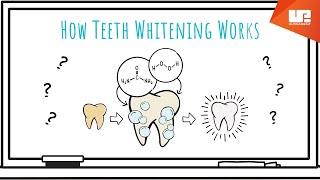 How Teeth Whitening Works [upl. by Leasi]