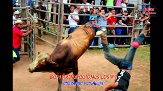 Toros en el Cristo de Aguadulce Tercer día 2 de julio 2017 [upl. by Woodhouse]