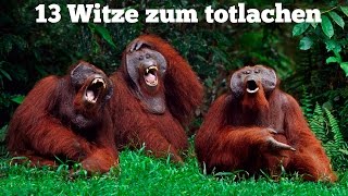 Die besten Witze zum TOTLACHEN [upl. by Reinold]