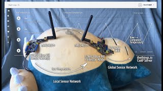 Mynewt Sensor Network with STM32 Blue Pill nRF24L01 ESP8266 and thethingsio [upl. by Natsrik]