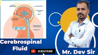 Cerebrospinal fluid circulation  csf formation and circulation csffluid by Study Help And Health [upl. by Ignatia]