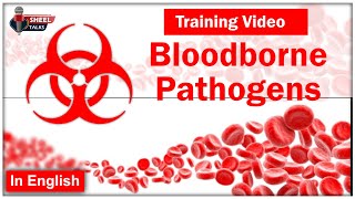 Bloodborne Pathogens Training Video – Safety Precautions Syndromes amp Diseases SheelTalks [upl. by Sedda135]