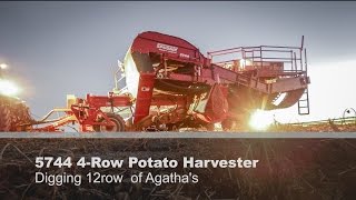 5744 4row Potato Harvester digging 12 rows of Agathas [upl. by Jahncke]