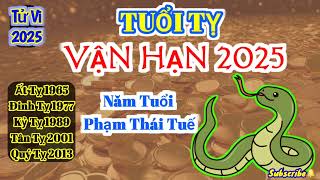 Tử Vi TUỔI TỴ 2025 Năm tuổi phạm Trực Thái Tuế kinh doanh CẠNH TRANH mạnh tài bảo KHÓ lên [upl. by Anitra]