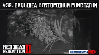 Localización múltiple Orquidea Cyrtopodium Punctatum  32Compendio Plantas  Red dead redemption 2 [upl. by Anawak]