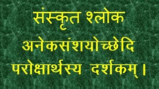 Sanskrit Sloka Meaning  Aneka Samshayo Chchhedi [upl. by Nageem]