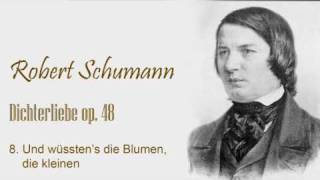 Schumann  Dichterliebe op48  no8wmv [upl. by Andrews]