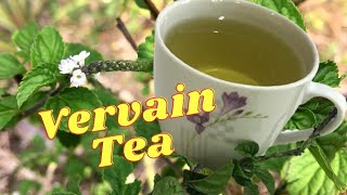 Vervain Tea HEALTH BENEFITS  HOW to MAKE Vervain Tea  Remedy for RESPIRATORY PROBLEMS [upl. by Telfer562]