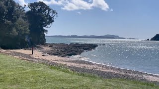 Taiji at Paihia [upl. by Nae772]