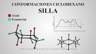 CICLO HEXANO PROYECCION DE NEWMAN  CONFORMACIONES Animacion [upl. by Wiskind294]