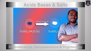 Acids Bases and Salts  Efflorescence Deliquescence amp Hygroscopy  Chemistry Tutorial [upl. by Esiom975]