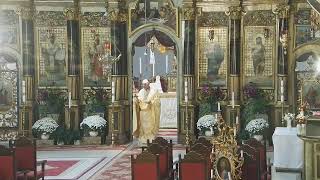 Episcopia GrecoCatolică de Oradea Live Stream [upl. by Manas]