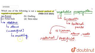 Which one of the following is not a natural method of vegetative propagative [upl. by Laverne75]