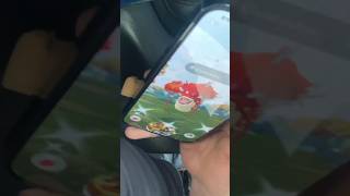 SHUNDO MIGHTY GYARADOS Caught on Birthday   Pokemon Go [upl. by Bullough]