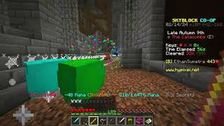 Hypixel Skyblock Entrance Dungeon Speedrun 0227 [upl. by Ahsiemac771]