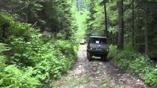 Freitag Haflinger Treffen Skgt 2014 [upl. by Sivat228]