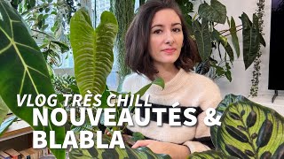 Vlog • haul plantes arrosage amp beaucoup de papotage [upl. by Ecneralc]