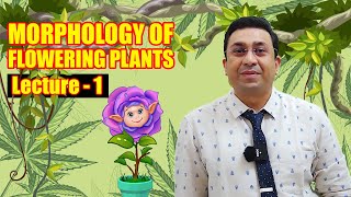 Morphology of Flowering Plants l lecture 1 l Biology l NEET [upl. by Eitra]