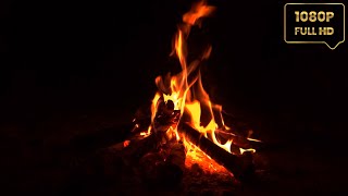 Cozy Campfire 🔥 Crackling Campfire Sounds and Burning Logs 🔥 Relaxing Fireplace [upl. by Yelsha]