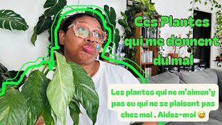 Ces Plantes Qui Me Donnent Du Mal 🌱 [upl. by Ellehsor128]