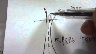 Tympanic membrane layers [upl. by Adnirem410]