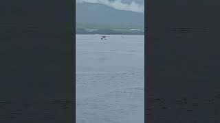 Two Sea Plane Landings Ketchikan ✈️🌊 bottlesfam adventure travel Alaska [upl. by Nnaear]