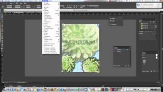 Preview Mode and Presentation Mode in InDesign [upl. by Elleron]