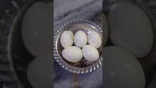 Hi egg gravy 🥚🥚🥚trendingshorts trendingsong pls subscribe [upl. by Burrton559]