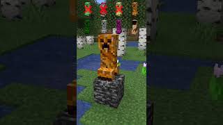 Creeper Myths vs Breaking Bedrock shorts meme minecraft [upl. by Aikrahs]