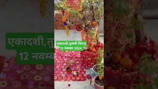 Radhe radhe 🌹🙏🌹 मेरी तुलसी के गमले में ॐ लिखा है tulsi tulsivivah bhajan bhaktisong shorts [upl. by Apul364]