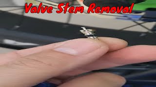 How To Remove A Tire Valve Stem Core [upl. by Jolie]