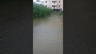 2023 Flood  Mugalivakkam [upl. by Nerek]