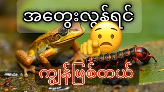 အတွေးလွန်ရင် ကျွန်ဖြစ်တယ်👍 knowledgesharing motivation စိတ်ခွန်အား စိတ်ဓာတ်ခွန်အားရှိစာပေများ [upl. by Elisabetta]