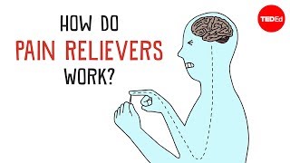 How Do Pain Relievers Work  George Zaidan [upl. by Hsetih]