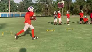 Winnersville Wolves 8U Gauntlet drill at practice 2023 season loading…… [upl. by Palgrave]