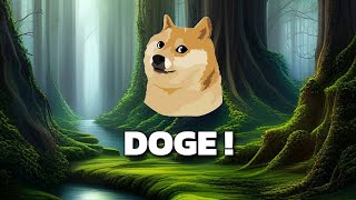 STOP Investing in Dogecoin Until You Watch This [upl. by Nref]