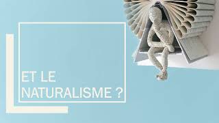 NATURALISME ET REALISME  16 minutes pour tout comprendre [upl. by Anirazc]