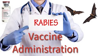 Rabies Vaccination What You Need to Know [upl. by Chiquia51]