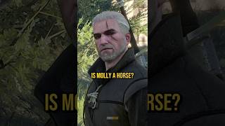 Is Molly A Horse  The Witcher 3 [upl. by Eal666]